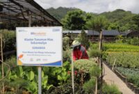 Klaster Hidupku Bank Rakyat Indonesia. (Dok. BRI)