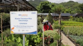 Klaster Hidupku Bank Rakyat Indonesia. (Dok. BRI)