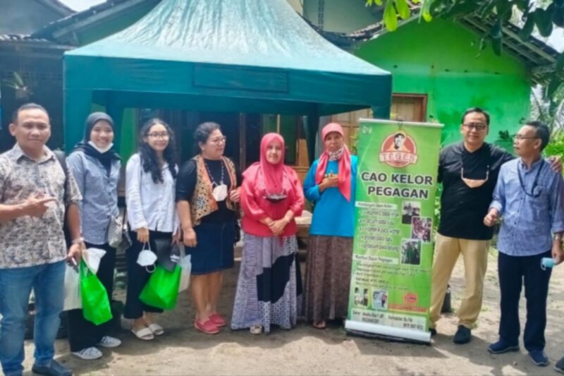 Pawon Teges, kuliner lokal yang mengeksplorasi potensi daun kelor, asal Desa Hargobinangun, Sleman, Jawa Tengah. (Dok. BRI)