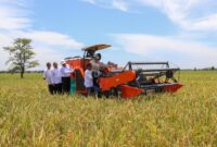 Harga beras dunia anjlok tajam ke titik terendah dalam beberapa tahun terakhir. (Dok. Kementan)