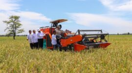 Harga beras dunia anjlok tajam ke titik terendah dalam beberapa tahun terakhir. (Dok. Kementan)