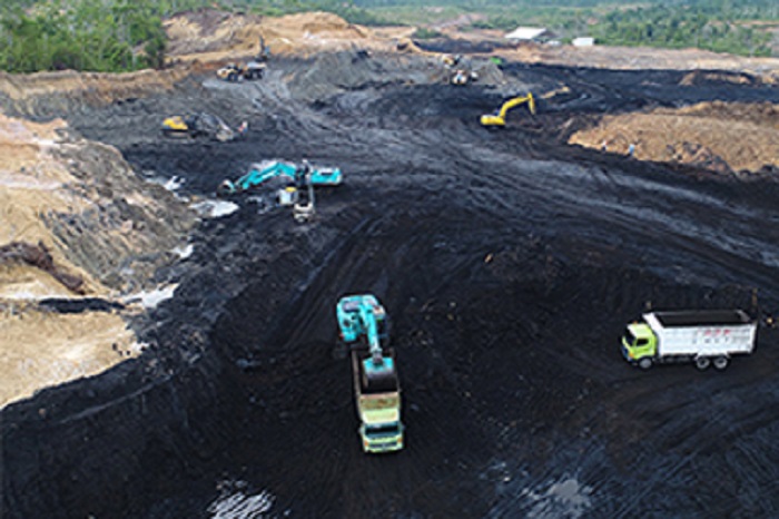 Armada modern Hillcon di tambang batubara jadi tulang punggung kontrak besar & pangsa pasar nasional.
